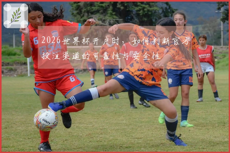 2026世界杯开户时，如何判断官方投注渠道的可靠性与安全性