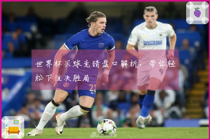世界杯买球竞猜盘口解析，带你轻松下注决胜局