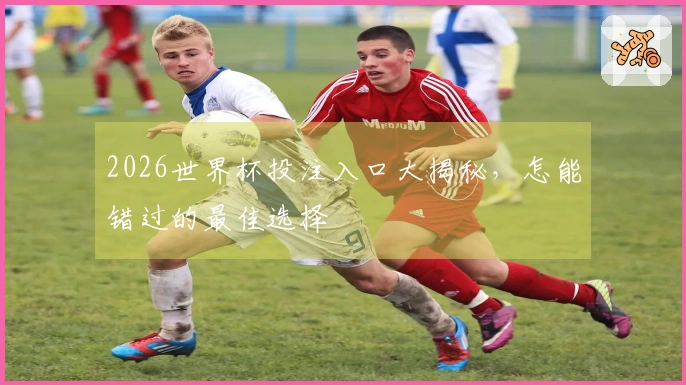2026世界杯投注入口大揭秘，怎能错过的最佳选择
