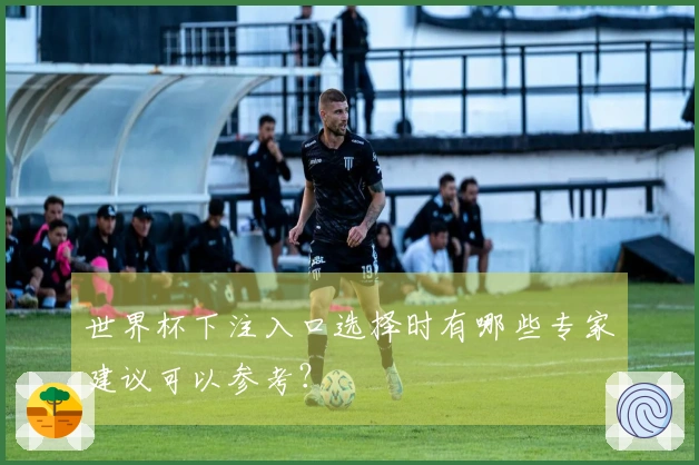 世界杯下注入口选择时有哪些专家建议可以参考？