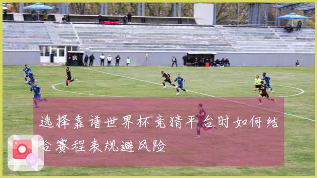 选择靠谱世界杯竞猜平台时如何结合赛程表规避风险