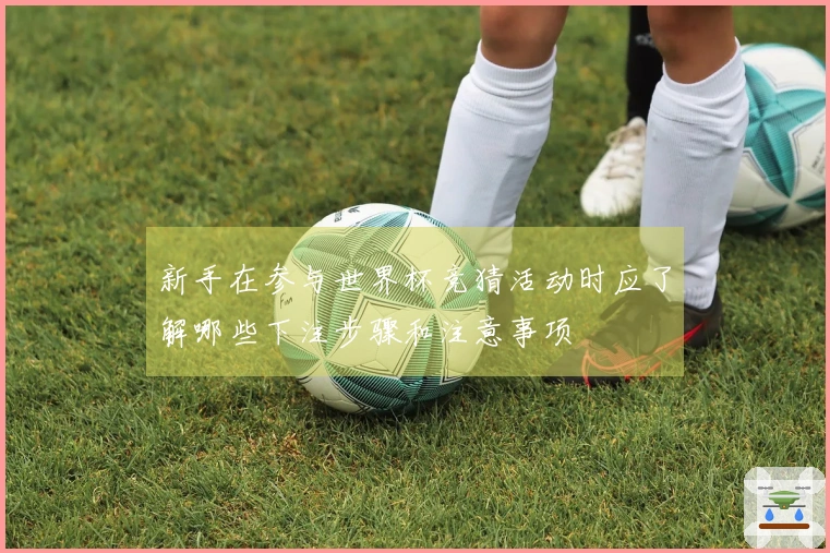 新手在参与世界杯竞猜活动时应了解哪些下注步骤和注意事项