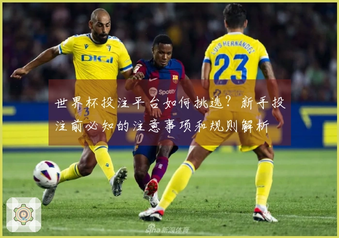 世界杯投注平台如何挑选?新手投注前必知的注意事项和规则解析