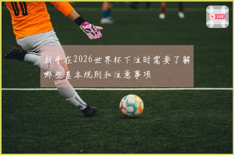 新手在2026世界杯下注时需要了解哪些基本规则和注意事项