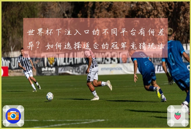 世界杯下注入口的不同平台有何差异？如何选择适合的冠军竞猜玩法？