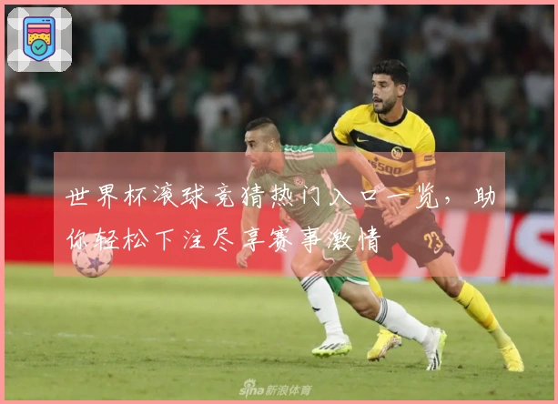 世界杯滚球竞猜热门入口一览，助你轻松下注尽享赛事激情