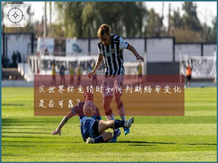 买世界杯竞猜时如何判断赔率变化是否可靠？