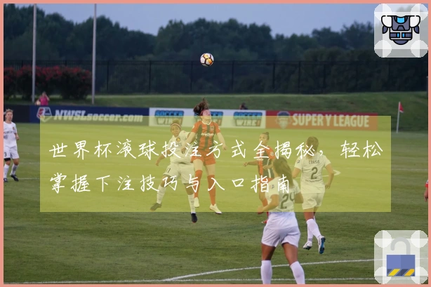 世界杯滚球投注方式全揭秘，轻松掌握下注技巧与入口指南