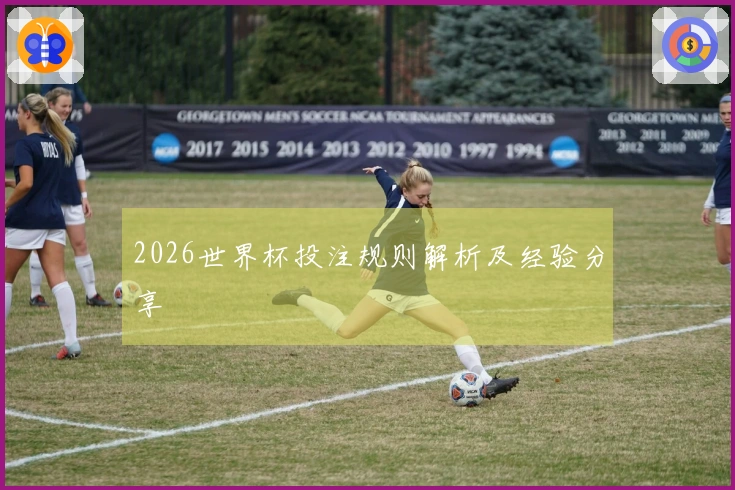 2026世界杯投注规则解析及经验分享