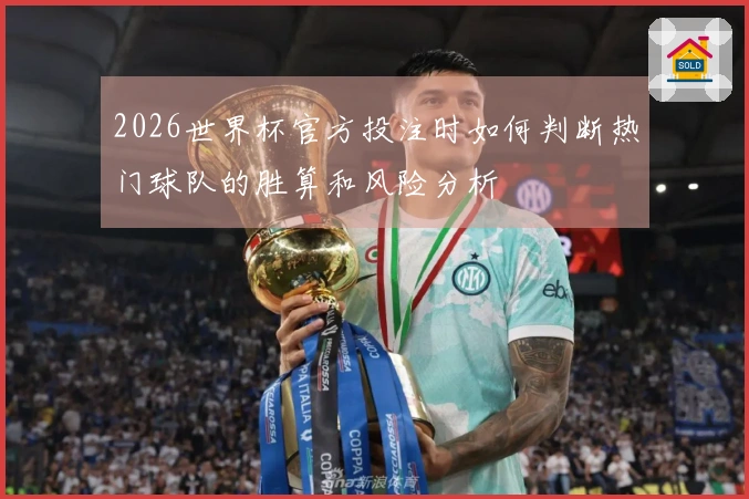 2026世界杯官方投注时如何判断热门球队的胜算和风险分析