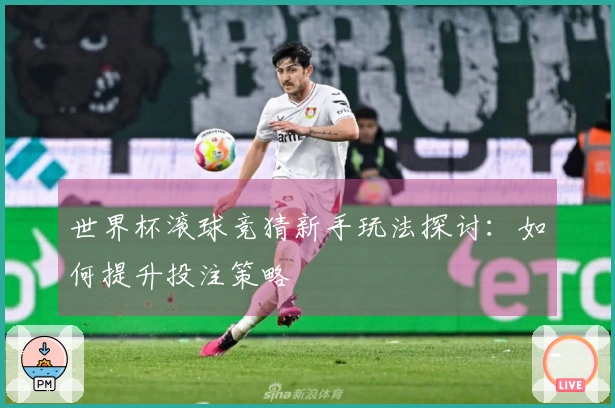 世界杯滚球竞猜新手玩法探讨：如何提升投注策略
