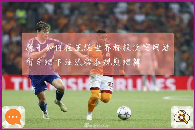 新手如何在正规世界杯投注官网进行合理下注流程和规则理解