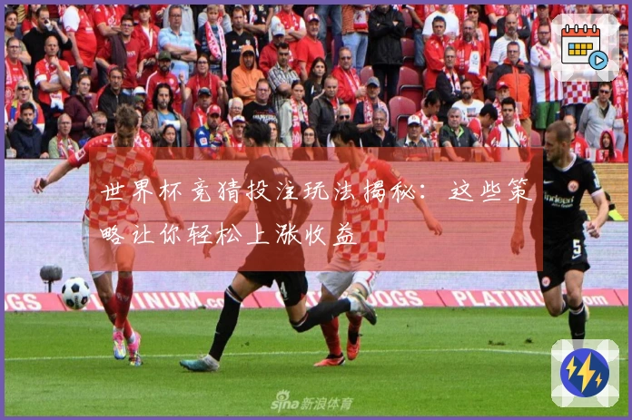 世界杯竞猜投注玩法揭秘：这些策略让你轻松上涨收益