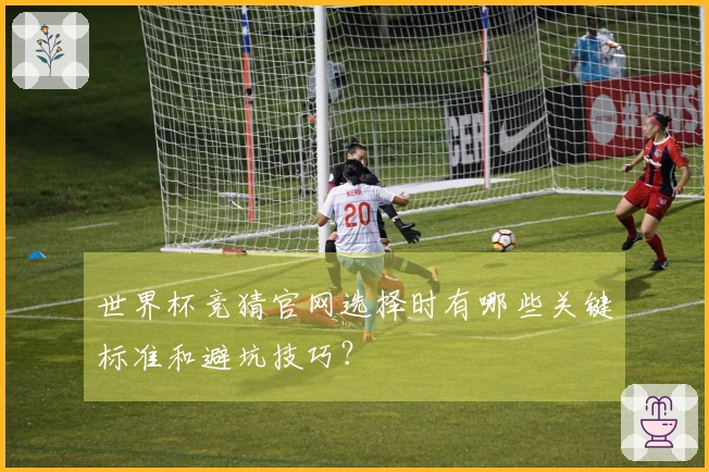 世界杯竞猜官网选择时有哪些关键标准和避坑技巧？