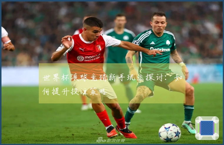 世界杯滚球竞猜新手玩法探讨：如何提升投注策略