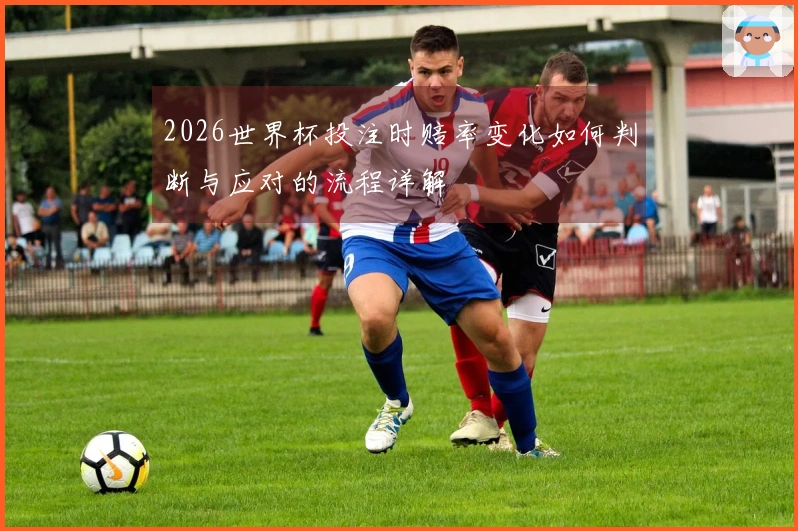 2026世界杯投注时赔率变化如何判断与应对的流程详解