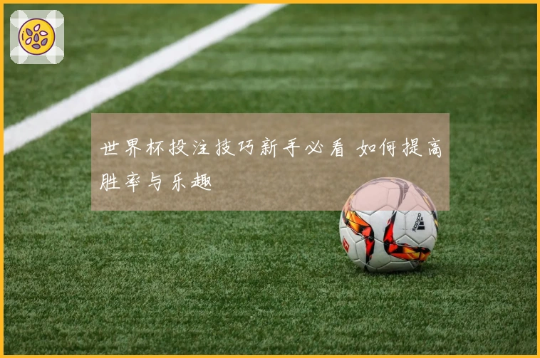 世界杯投注技巧新手必看 如何提高胜率与乐趣
