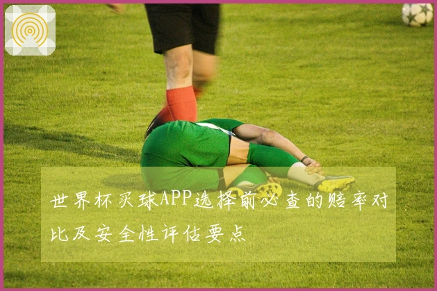 世界杯买球APP选择前必查的赔率对比及安全性评估要点
